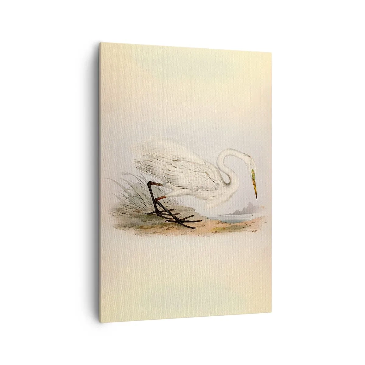 Vászonkép - Hölgy a nádasban - 70x100 cm