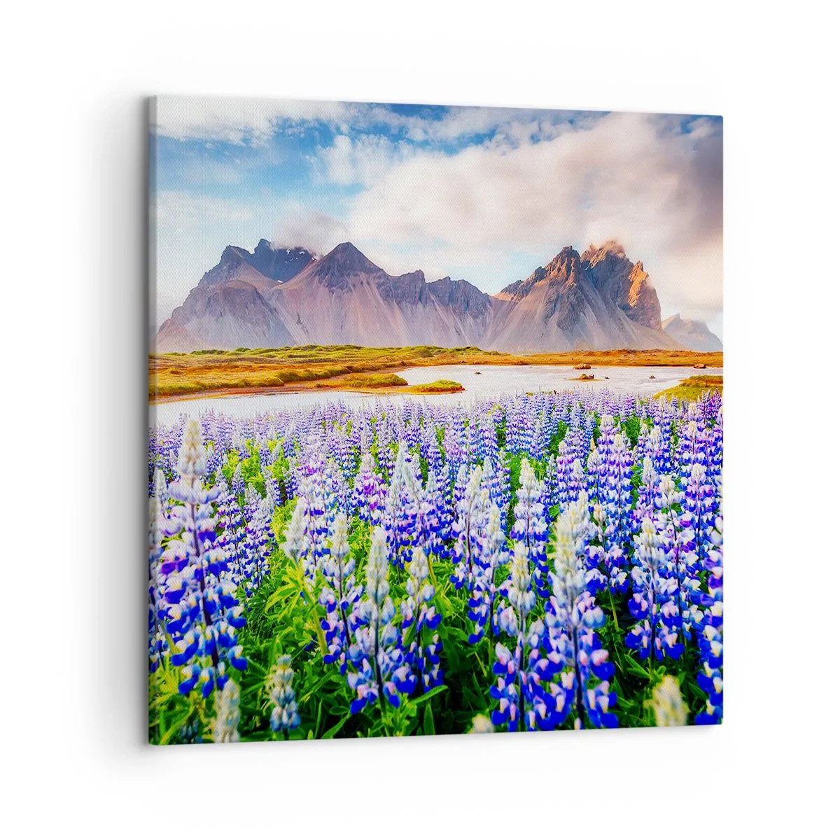 Vászonkép - Erő és szigorúság a szelídség mellett - 50x50 cm