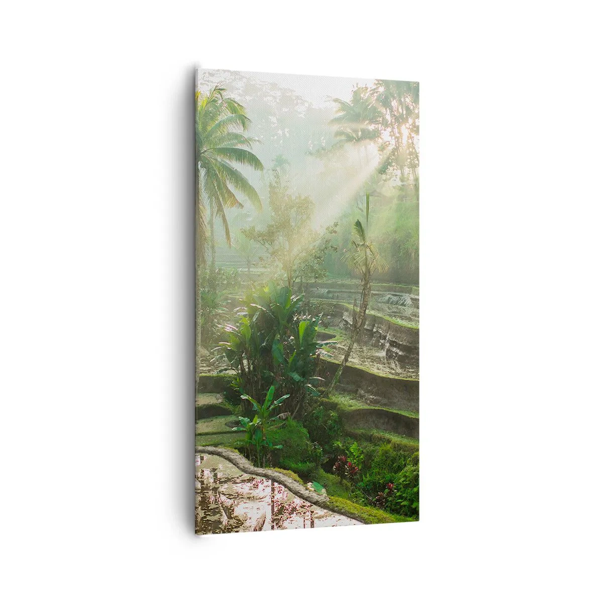 Vászonkép - Felnőni a napon - 65x120 cm