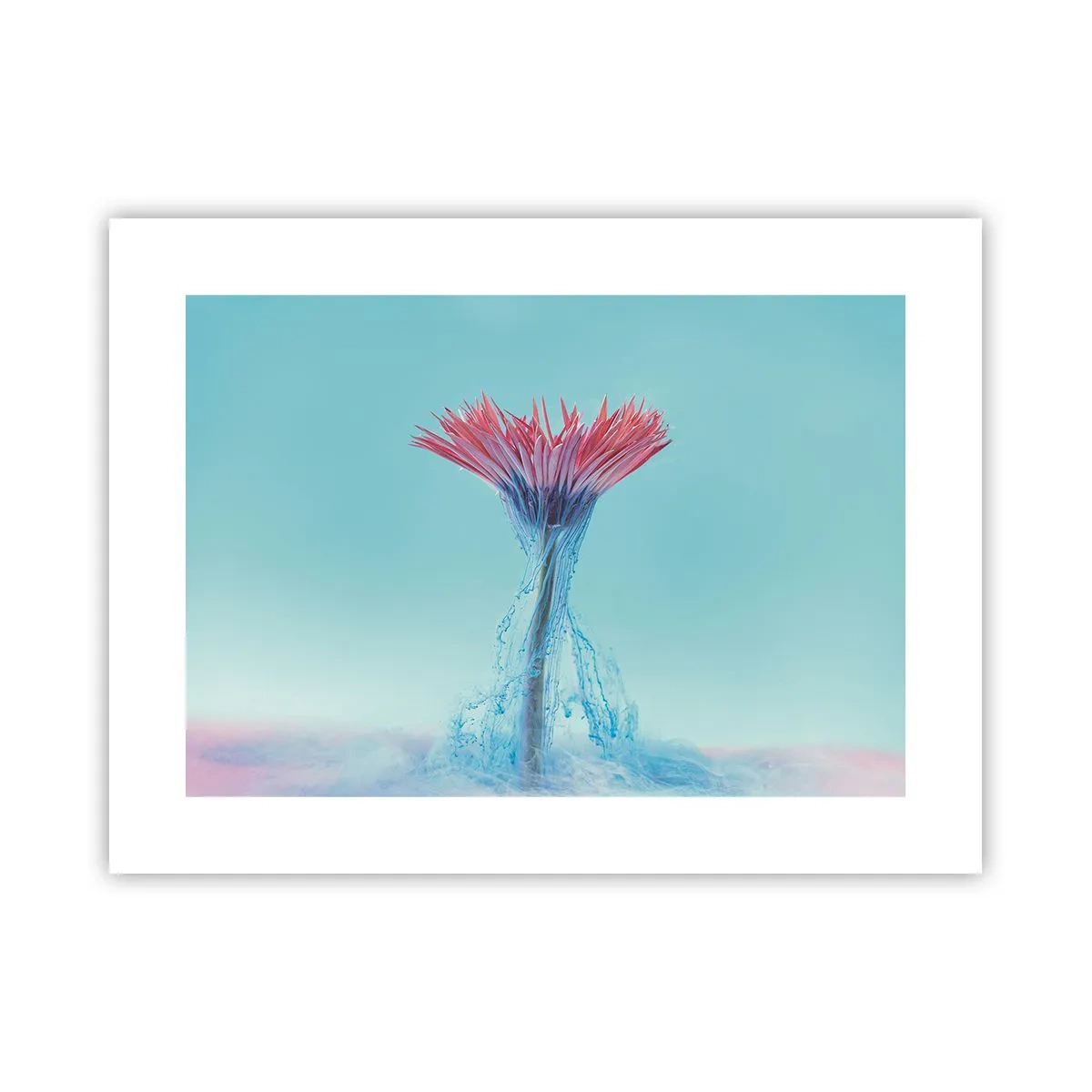 Poszter - Élénkítő ölelésben - 40x30 cm