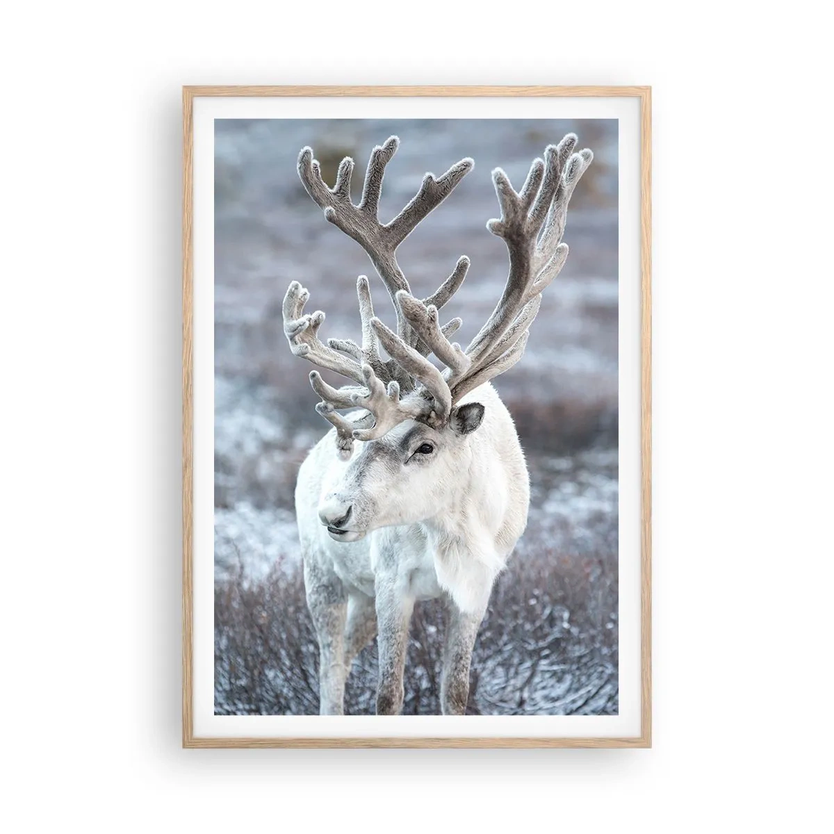 Poszter világos tölgy keretben - Portré a napon - 70x100 cm