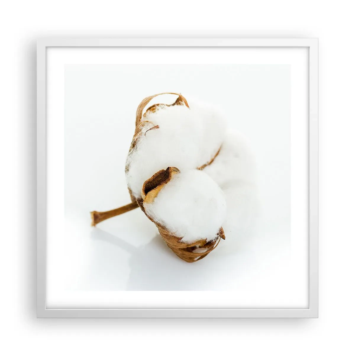 Poszter fekete keretben - Lágy természetű - 50x50 cm