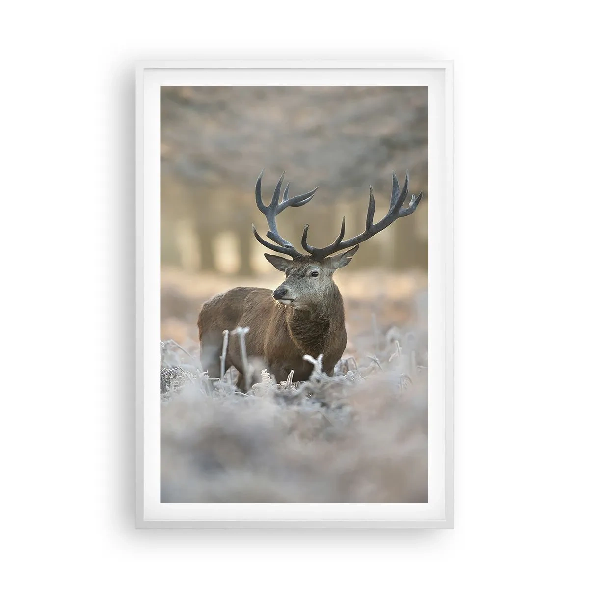 Poszter fekete keretben - Friss reggel - 61x91 cm