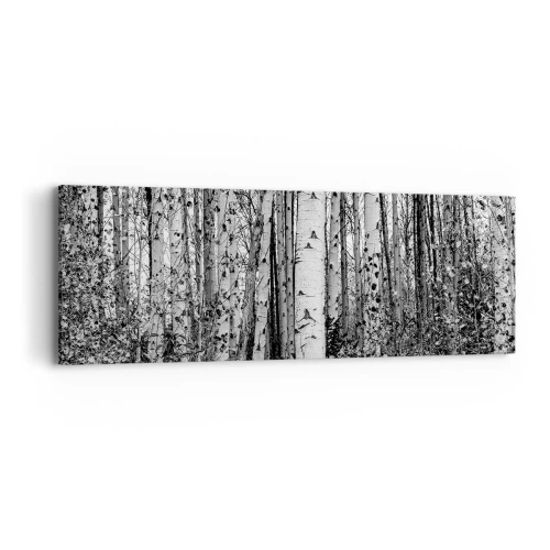 Vászonkép - Nyírfa oszlopsor - 90x30 cm