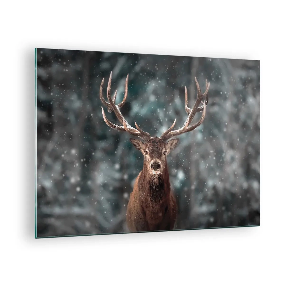 Üveg kép - Egy büszke szarvas a téli erdőben a hóesés közepette - 70x50cm - Az erdő királya koronázva - Modern fali dekoráció nappalihoz és hálószobához ARTTOR