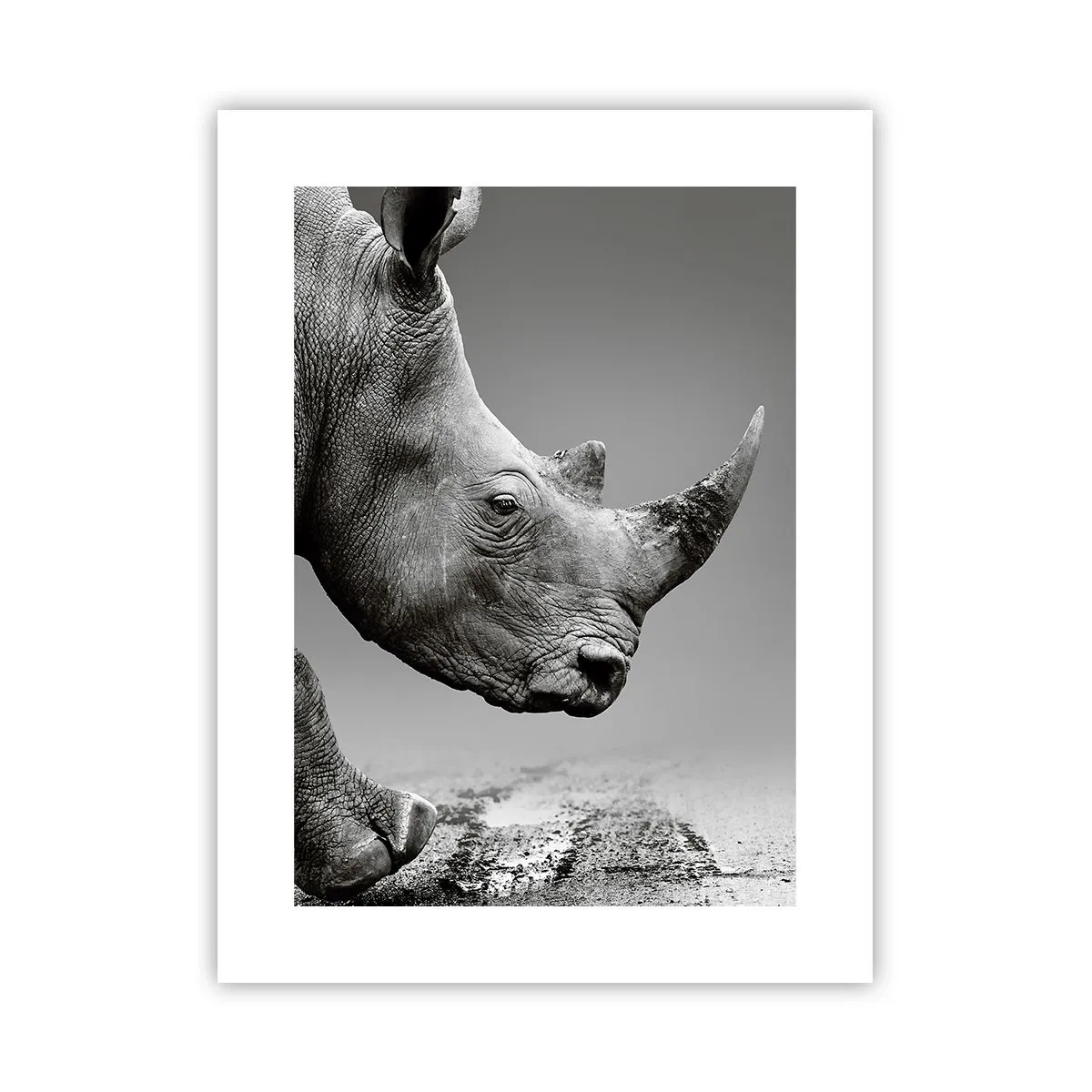 Poszter - Megállíthatatlan erő - 30x40 cm