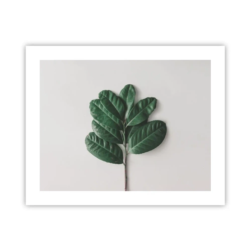 Poszter - Rajz csak a természetről - 50x40 cm