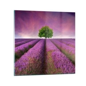 Üveg kép - Levendulaföldeken - 30x30 cm