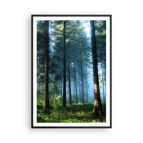 Poszter fehér keretben - Sugárzó reggel - 70x100 cm