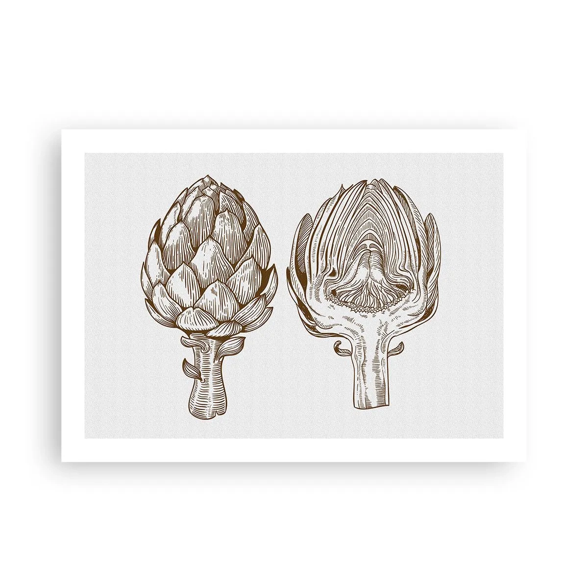 Poszter - Anatómia lecke - 70x50 cm