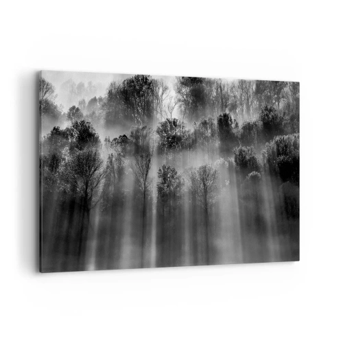 Vászonkép - Fénypatakokban - 100x70 cm