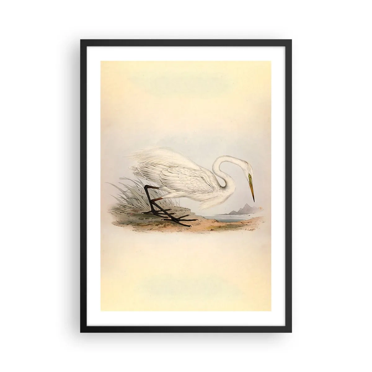 Poszter fehér keretben - Gém illusztrációja pasztell tájkép hátterében - 50x70cm - Hölgy a nádasban - Modern fali dekoráció nappalihoz és hálószobához ARTTOR