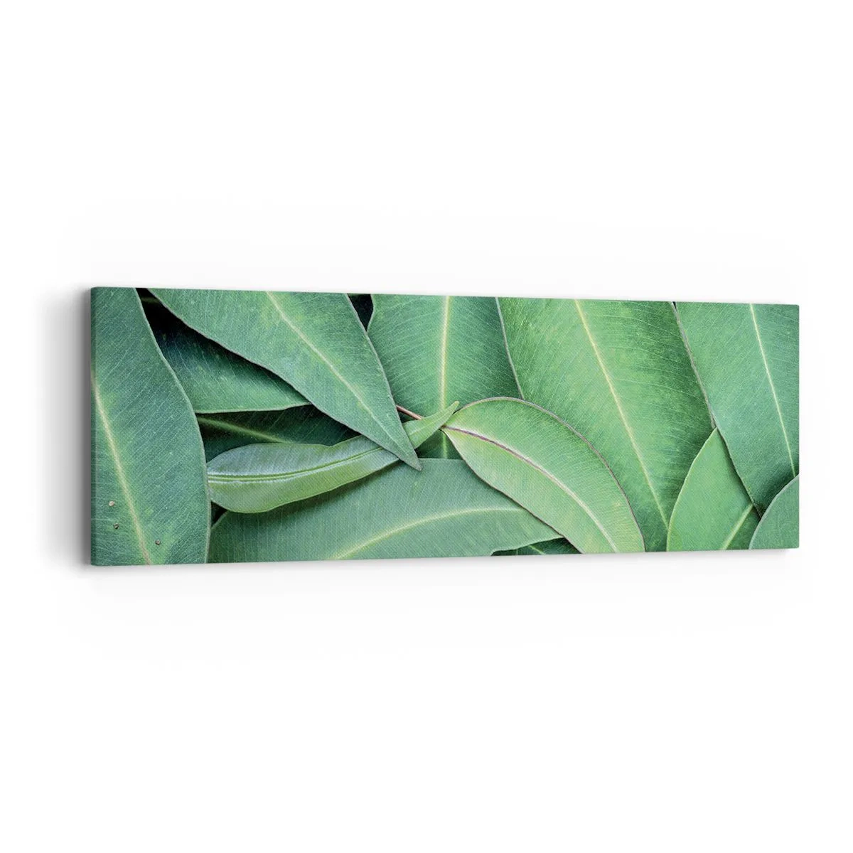 Vászonkép - Lédús és friss - 90x30 cm