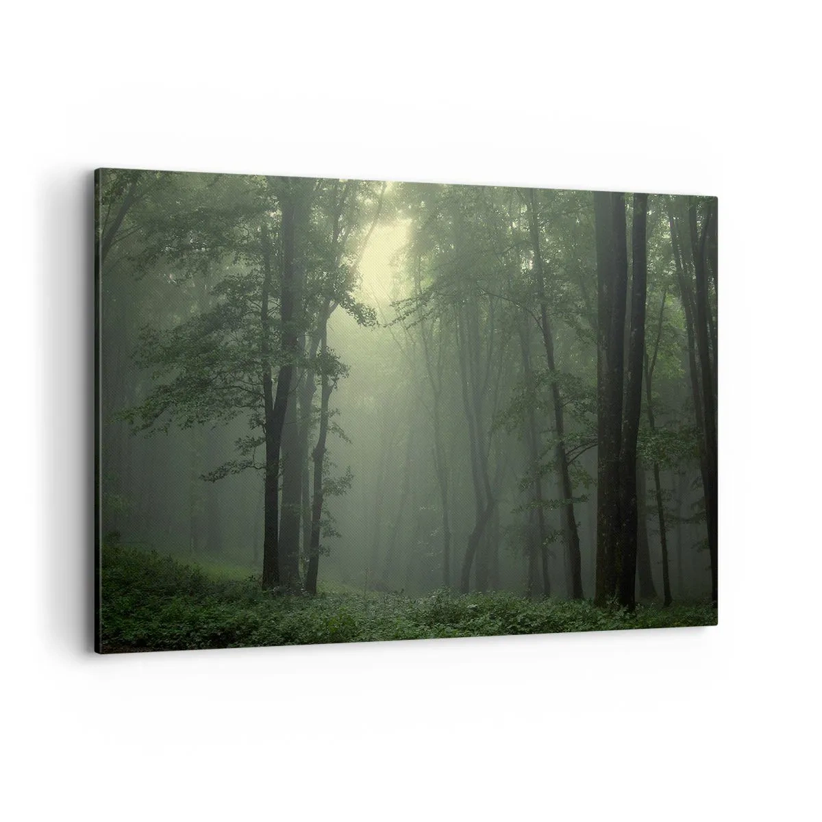 Vászonkép - Mielőtt felébred - 120x80 cm