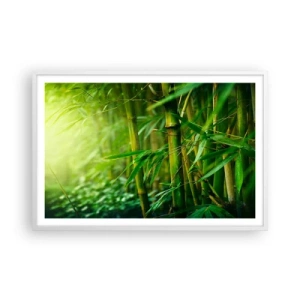 Poszter fekete keretben - Megismerni magát a zöldet - 91x61 cm