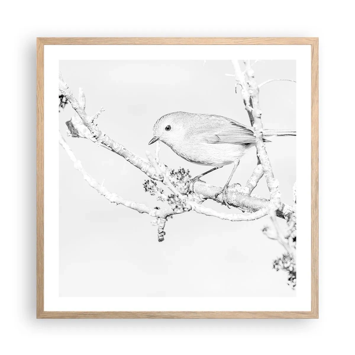 Poszter világos tölgy keretben - Téli reggel - 60x60 cm