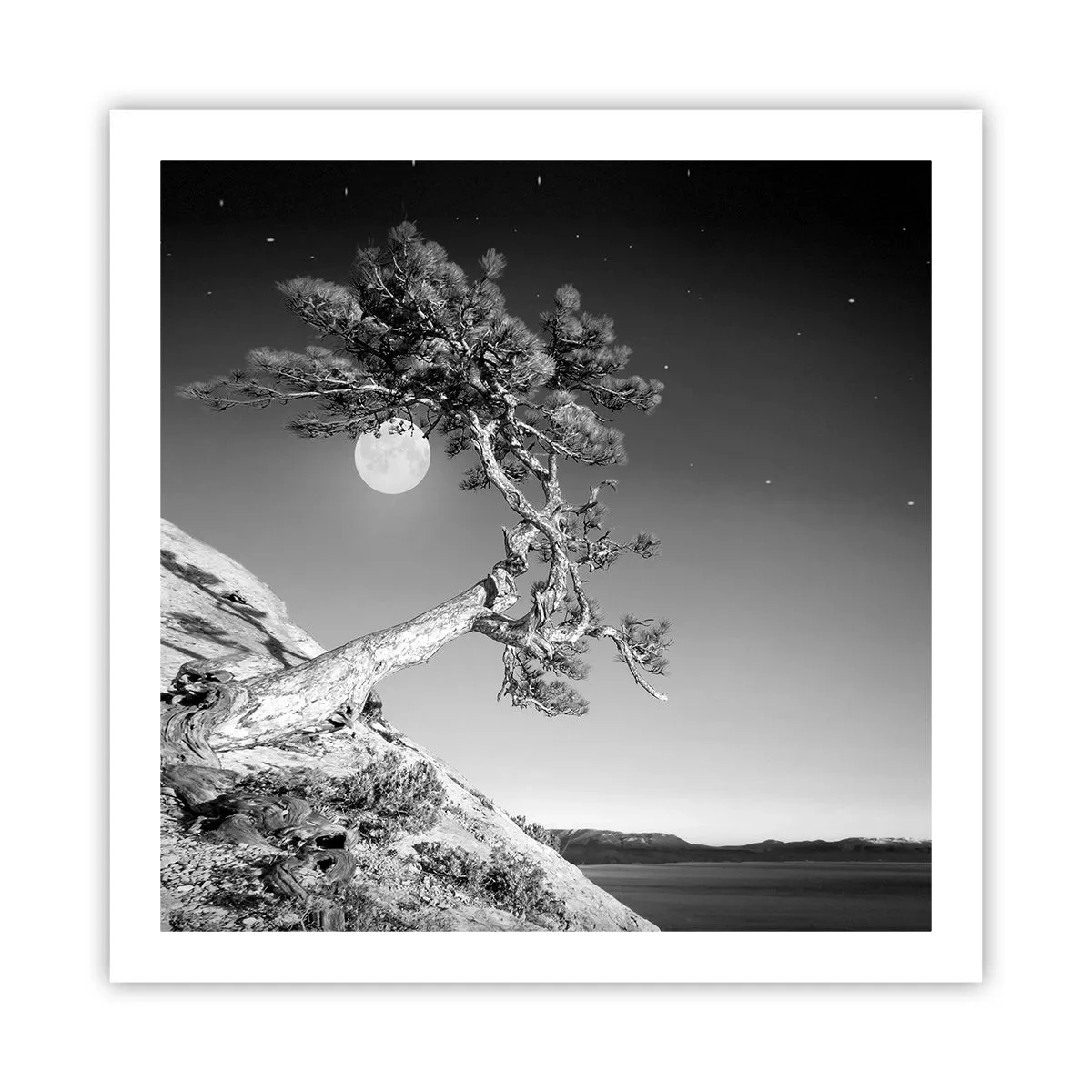 Poszter - Győztes harcos - 60x60 cm