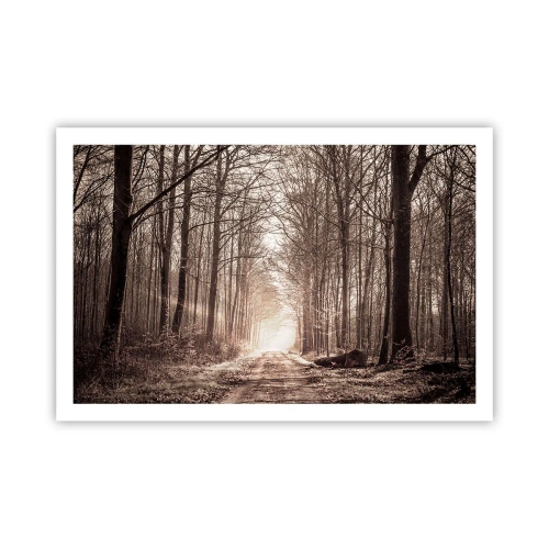 Poszter - Erdei katedrális - 91x61 cm