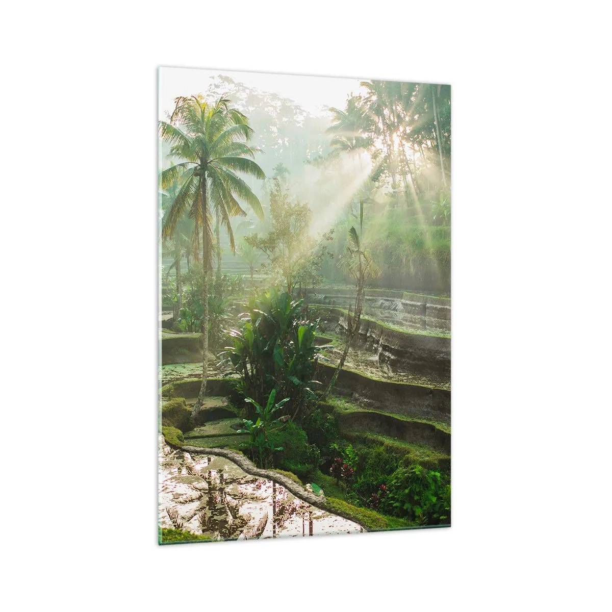 Üveg kép - Felnőni a napon - 70x100 cm