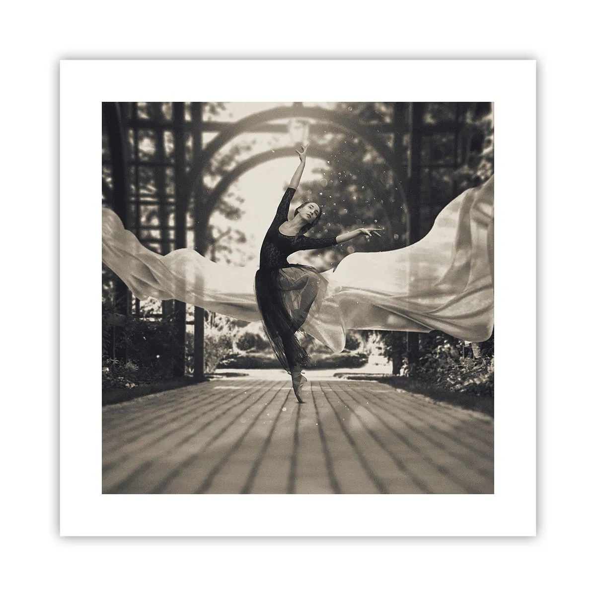 Poszter - A kerti szellem tánca - 40x40 cm