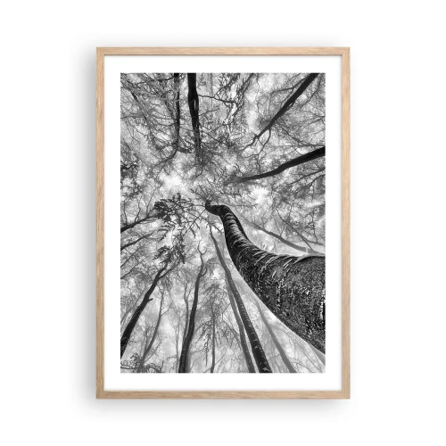 Poszter világos tölgy keretben - Verseny a fény felé - 50x70 cm