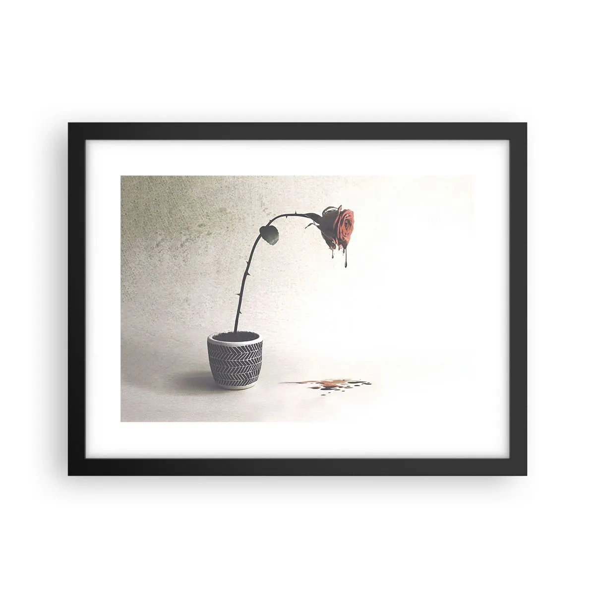 Poszter fehér keretben - Rosa dolorosa - 40x30 cm