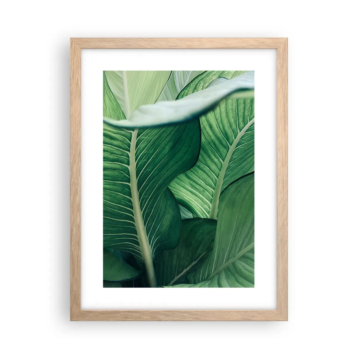 Poszter világos tölgy keretben - Intenzíven zöld élet - 30x40 cm