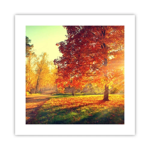 Poszter - A vörös gyönyörű - 40x40 cm