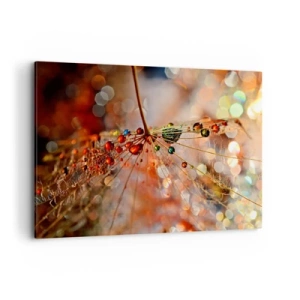 Vászonkép - Pókszálra fűzve - 100x70 cm