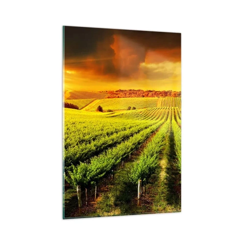 Üveg kép - Ausztrál nap alatt - 80x120 cm