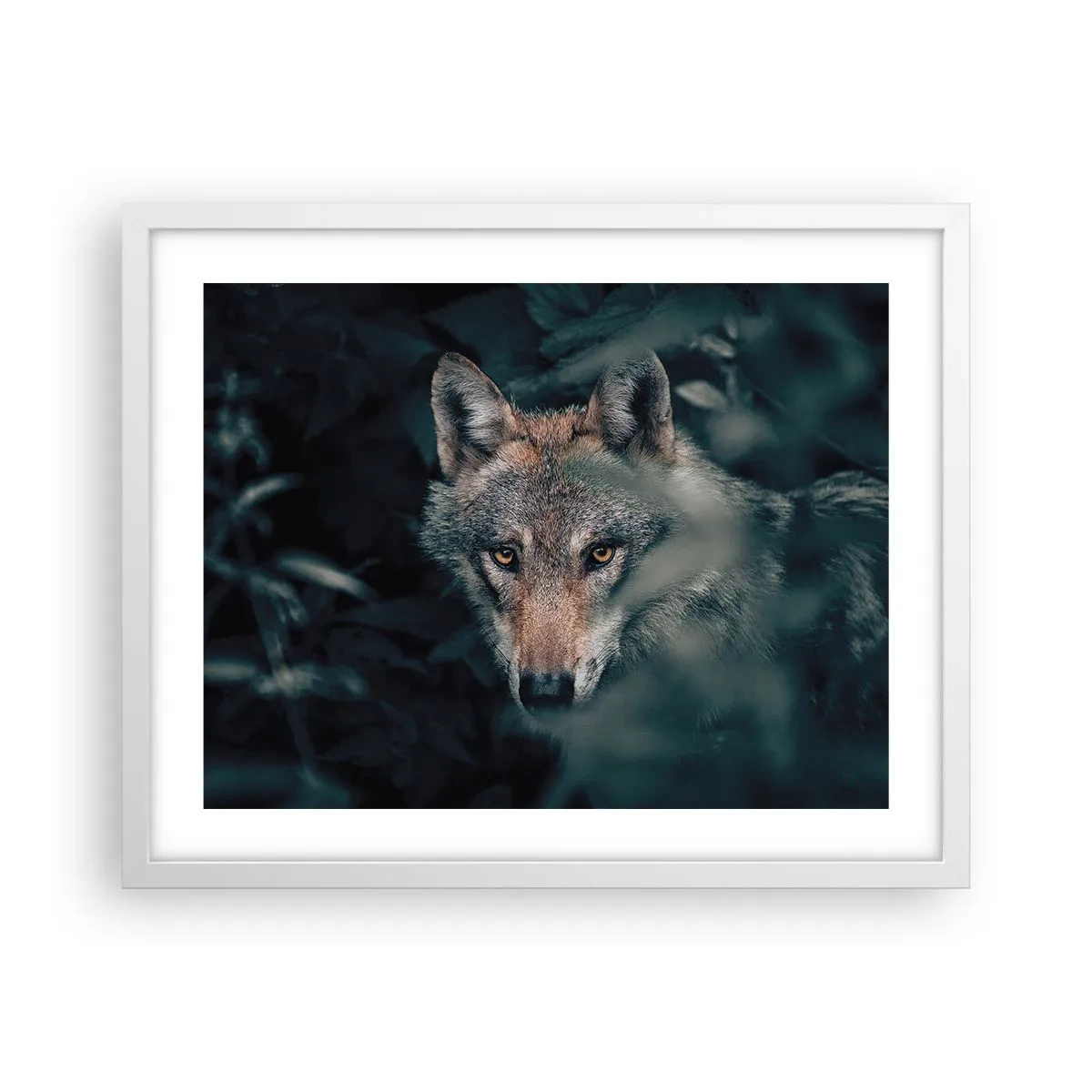 Poszter fekete keretben - Vadász - 50x40 cm