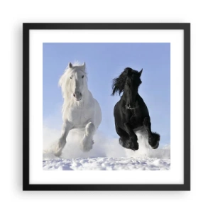 Poszter fehér keretben - Fekete-fehér galopp - 40x40 cm