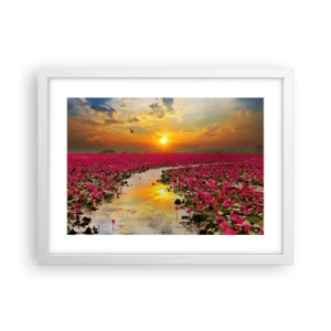 Poszter fekete keretben - A tó titokzatos élete - 40x30 cm