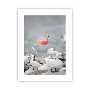 Poszter - Hogy kerültem ide? - 30x40 cm