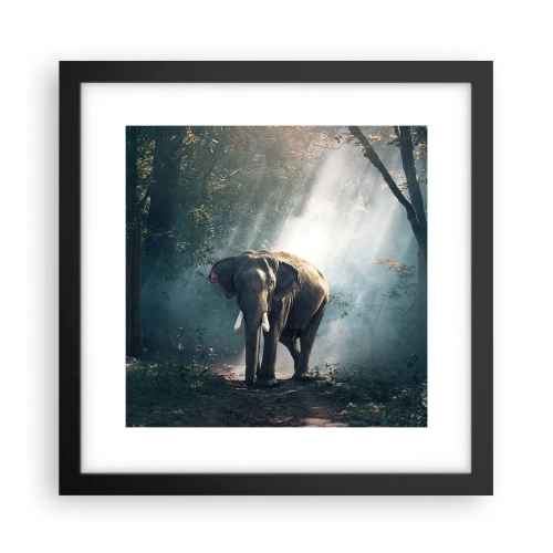 Poszter fehér keretben - Nyugodt séta - 30x30 cm