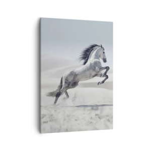 Vászonkép - arab herceg - 50x70 cm
