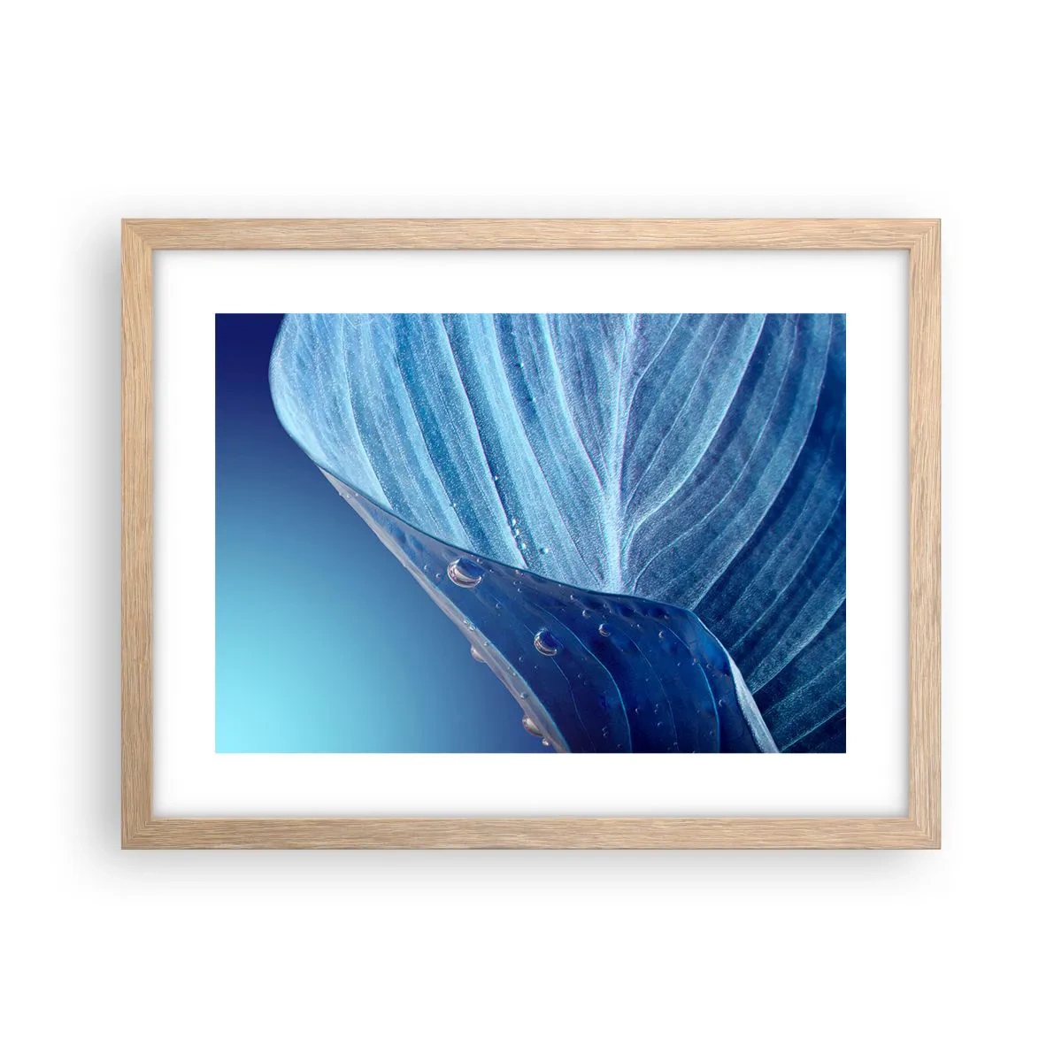 Poszter világos tölgy keretben - A kék rejtett cseppjei - 40x30 cm