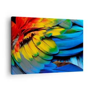 Vászonkép - Egy papagáj színes tollai közelről - 70x50cm - Paradicsom madár - Modern fali dekoráció nappalihoz és hálószobához ARTTOR