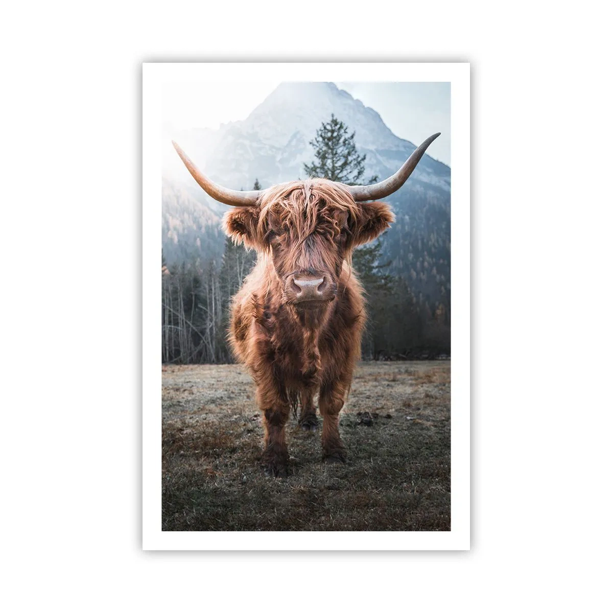 Poszter - Üdvözlet a hegyi rétről - 61x91 cm