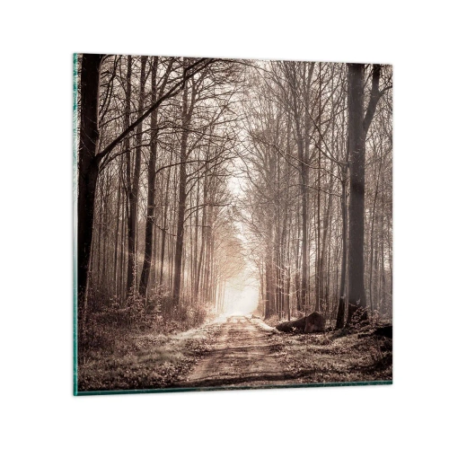 Üveg kép - Erdei katedrális - 50x50 cm