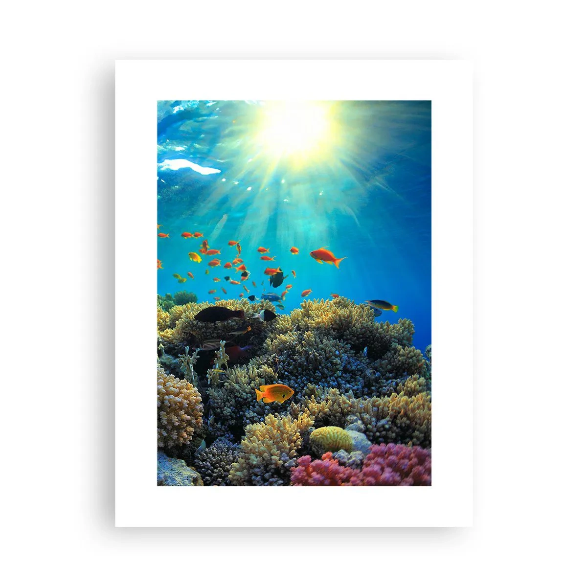 Poszter - Víz alatti kincsek - 30x40 cm