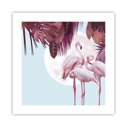 Poszter - Három madárgrácia - 40x40 cm