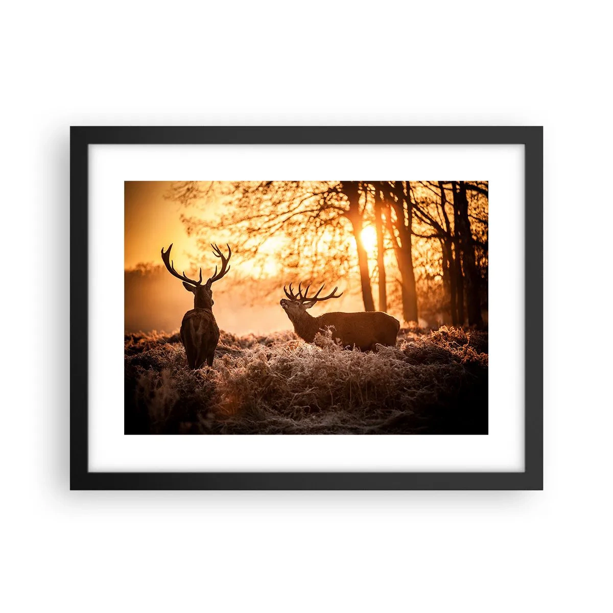 Poszter fehér keretben - Vadász álma - 40x30 cm