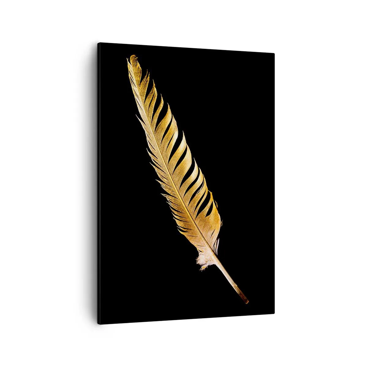 Vászonkép - Tökéletes tollal ellátva - 50x70 cm