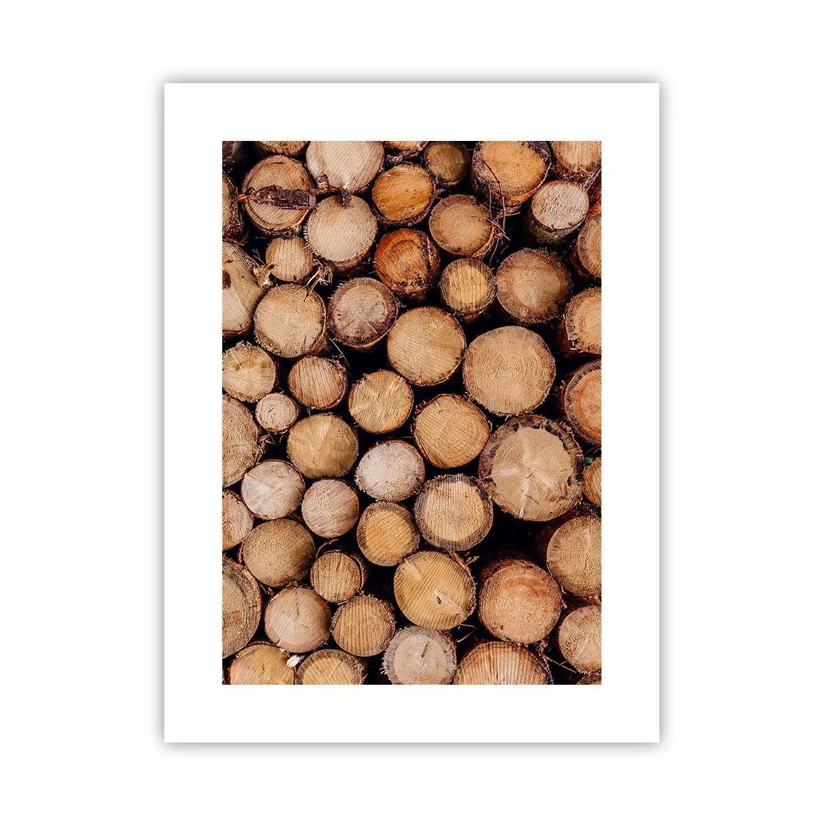 Poszter - Egy új kezdet - 30x40 cm