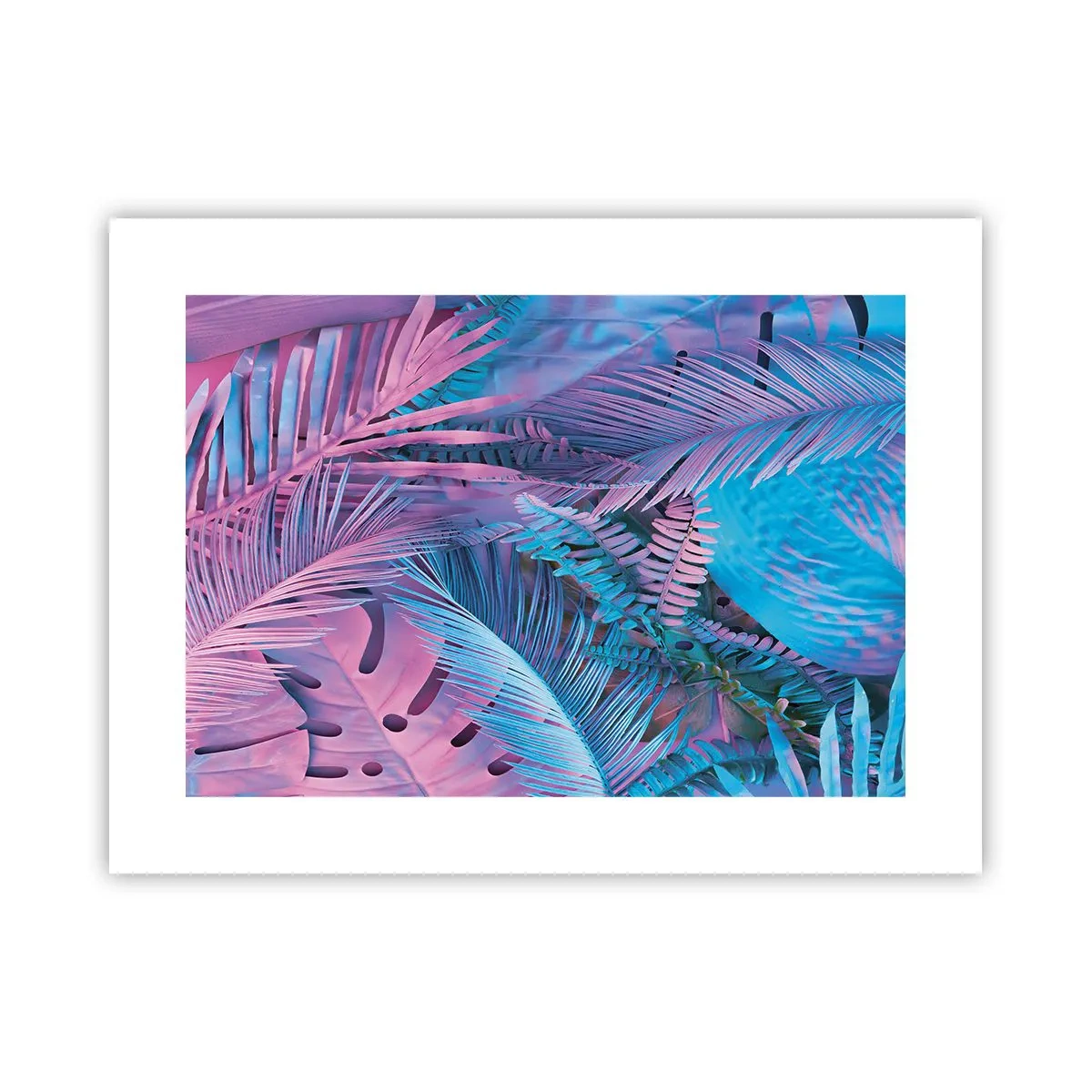 Poszter - Trópusok rózsaszínben és kékben - 40x30 cm