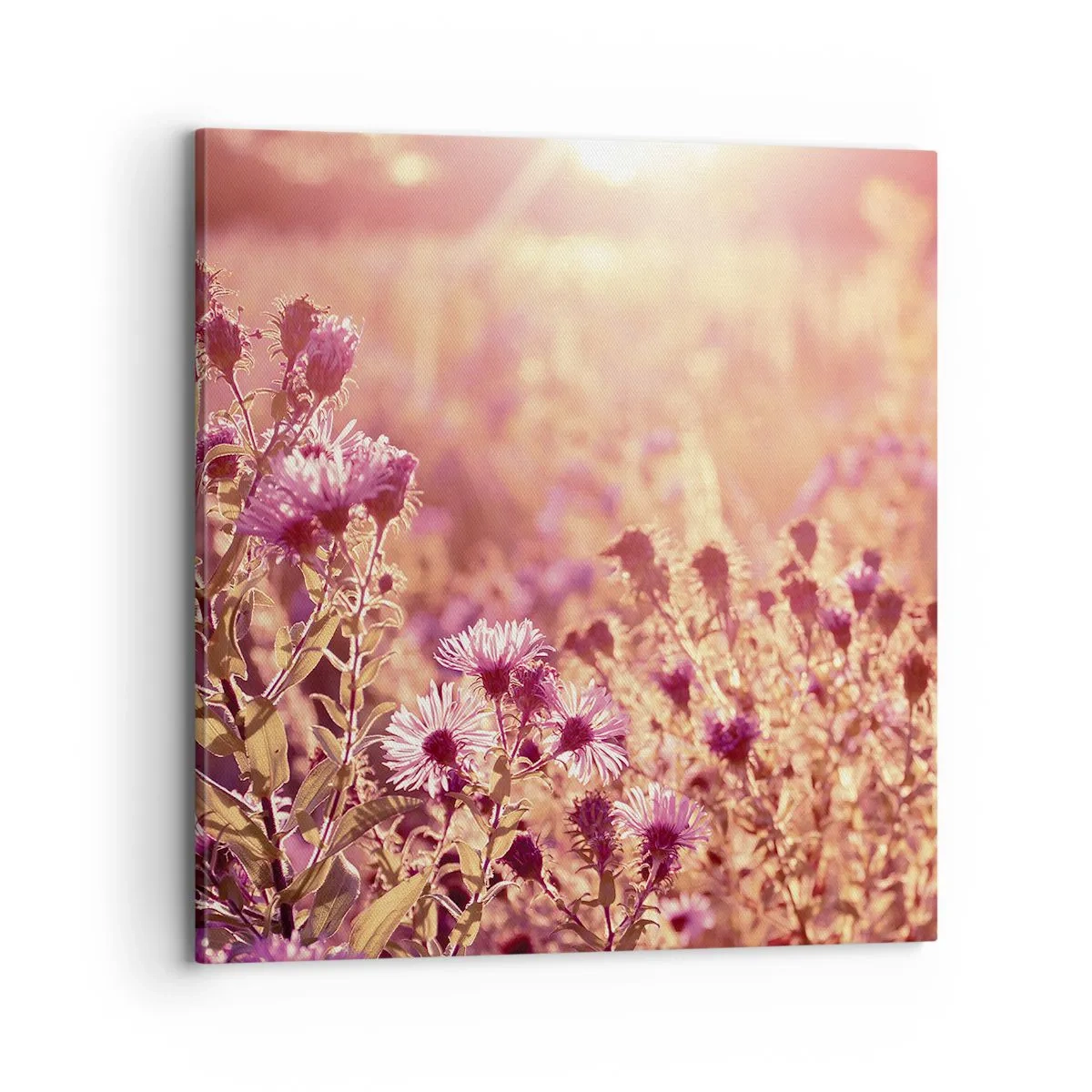 Vászonkép - A nyár elmúlás előtt - 70x70 cm