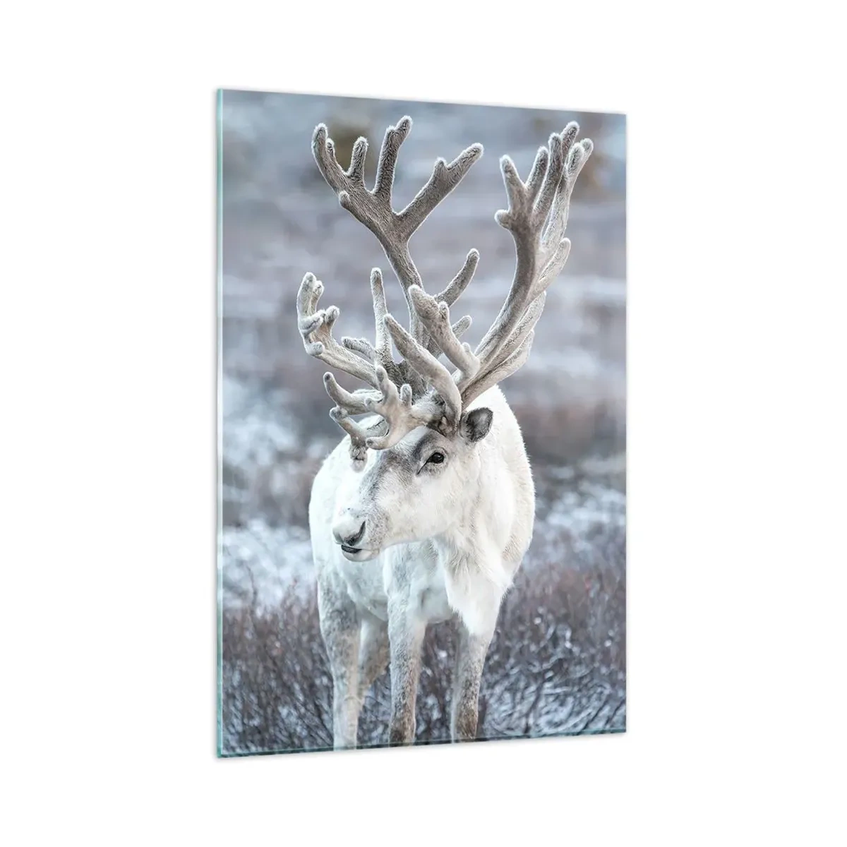 Üveg kép - Portré a napon - 80x120 cm