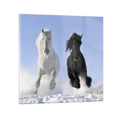 Üveg kép - Fekete-fehér galopp - 70x70 cm