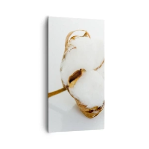 Vászonkép - Lágy természetű - 55x100 cm